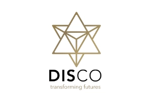 DISCO Consulting